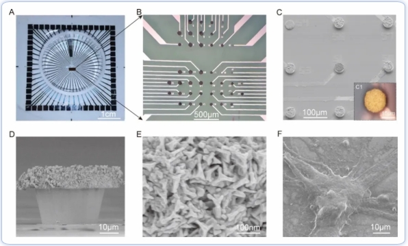 屏幕截圖_19-11-2025_11503_izmx.cn.jpeg 屏幕截圖_19-11-2025_11503_izmx.cn.jpeg